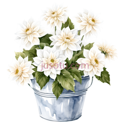 白花,木质桶, PNG