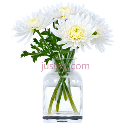 菊花,水晶花瓶, PNG