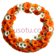 花环,圆形,橙色,白色PNG