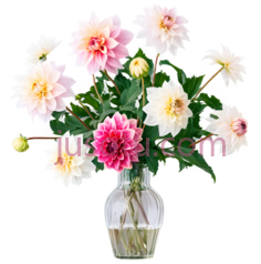 郁金香,花瓶,花朵PNG
