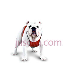 斗牛犬, PNG