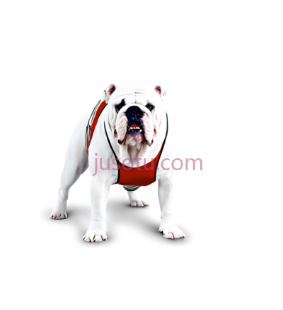斗牛犬, PNG