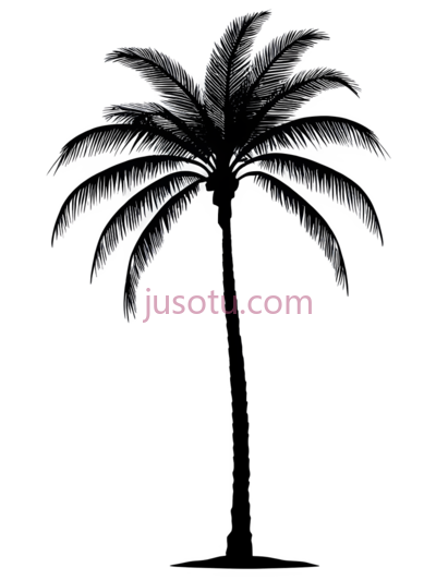 棕榈树,海滩, PNG