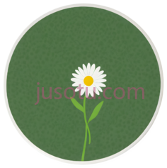 雏菊,白色花瓣, 黄色花蕊, 绿色茎叶PNG