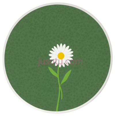 雏菊,白色花瓣, 黄色花蕊, 绿色茎叶, PNG