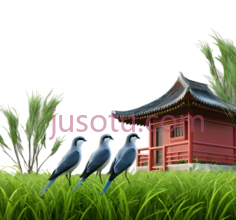 三只鸟,草地,房屋,乡村PNG