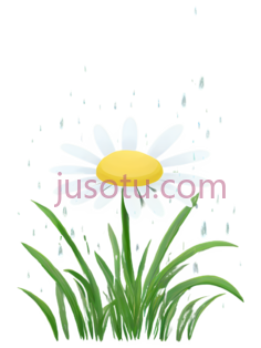 绿草,小雏菊PNG
