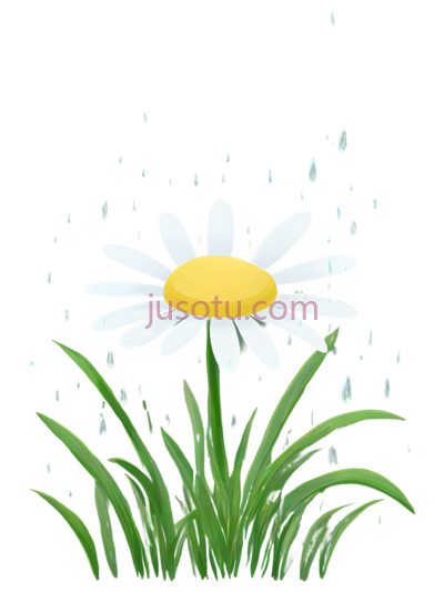 绿草,小雏菊, PNG