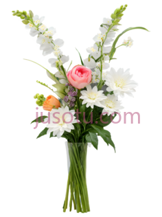 花束,优雅,白色,粉色PNG