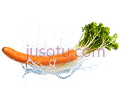 蔬菜,水花,蓝色, PNG