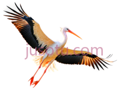 白鹭,飞行PNG