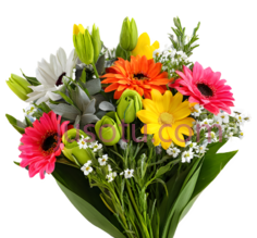 花束,彩色, PNG