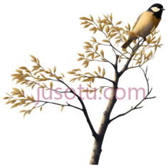 鸟,插画,黄色PNG