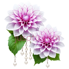 菊花,插画,粉色PNG