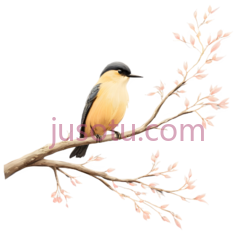 鸟,插画,黄色,黑色PNG