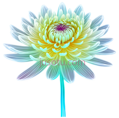 菊花,花瓣, PNG
