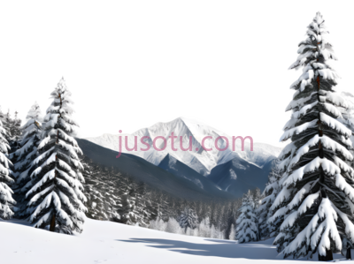 雪松,自然景观,白色, PNG