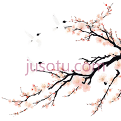 鸟,花,插画,白色,粉色PNG