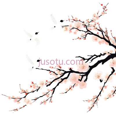 鸟,花,插画,白色,粉色, PNG