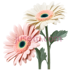 花束, PNG