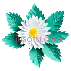 白菊花,剪裁, PNG