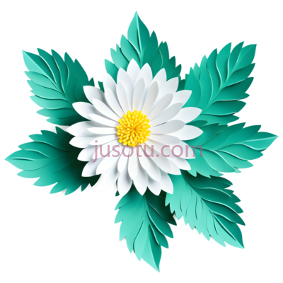 白菊花,剪裁, PNG