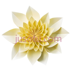 菊花,折纸,褶皱PNG