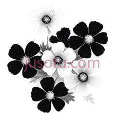 花,线条画,白色,黑色PNG