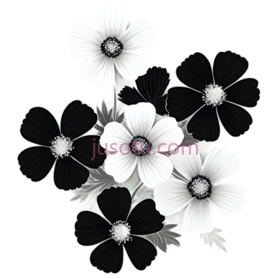 花,线条画,白色,黑色, PNG