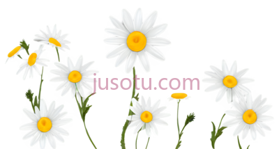 雏菊, PNG