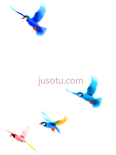鹦鹉,卡通,蓝色,粉色, PNG